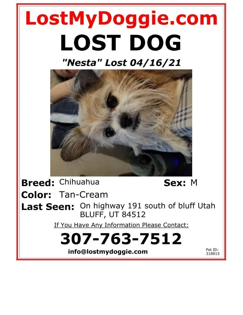 Lost dog in Bluff, UT, 84512
