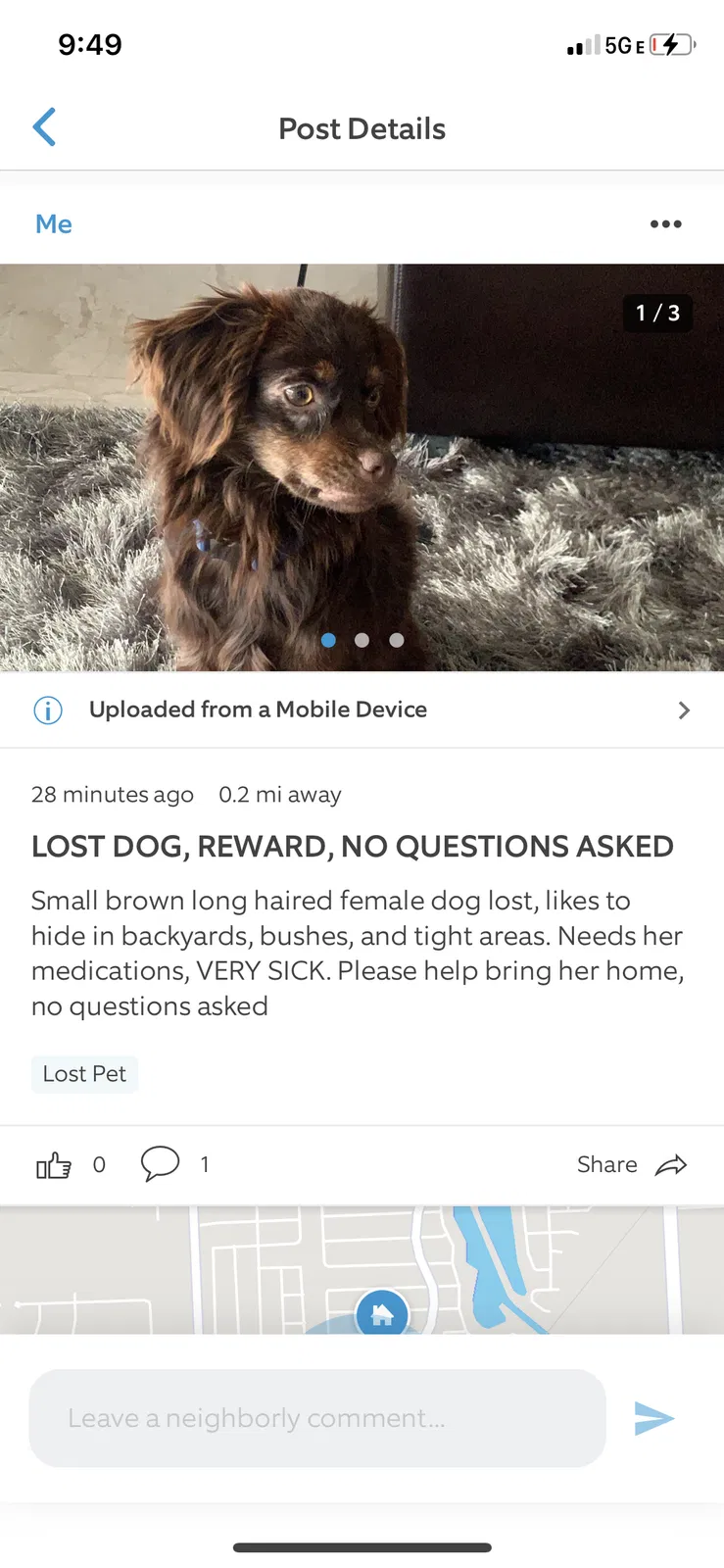 Lost dog in Miami, FL, 33177
