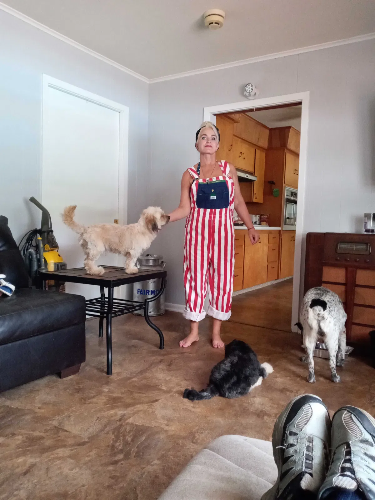 Lost dog in Pittsburg, KS, 66762