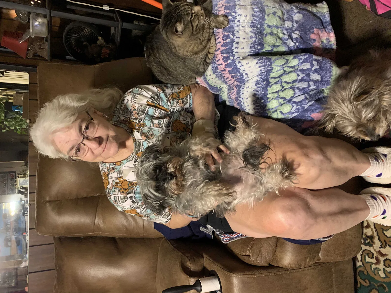Lost dog in Amarillo, TX, 79104