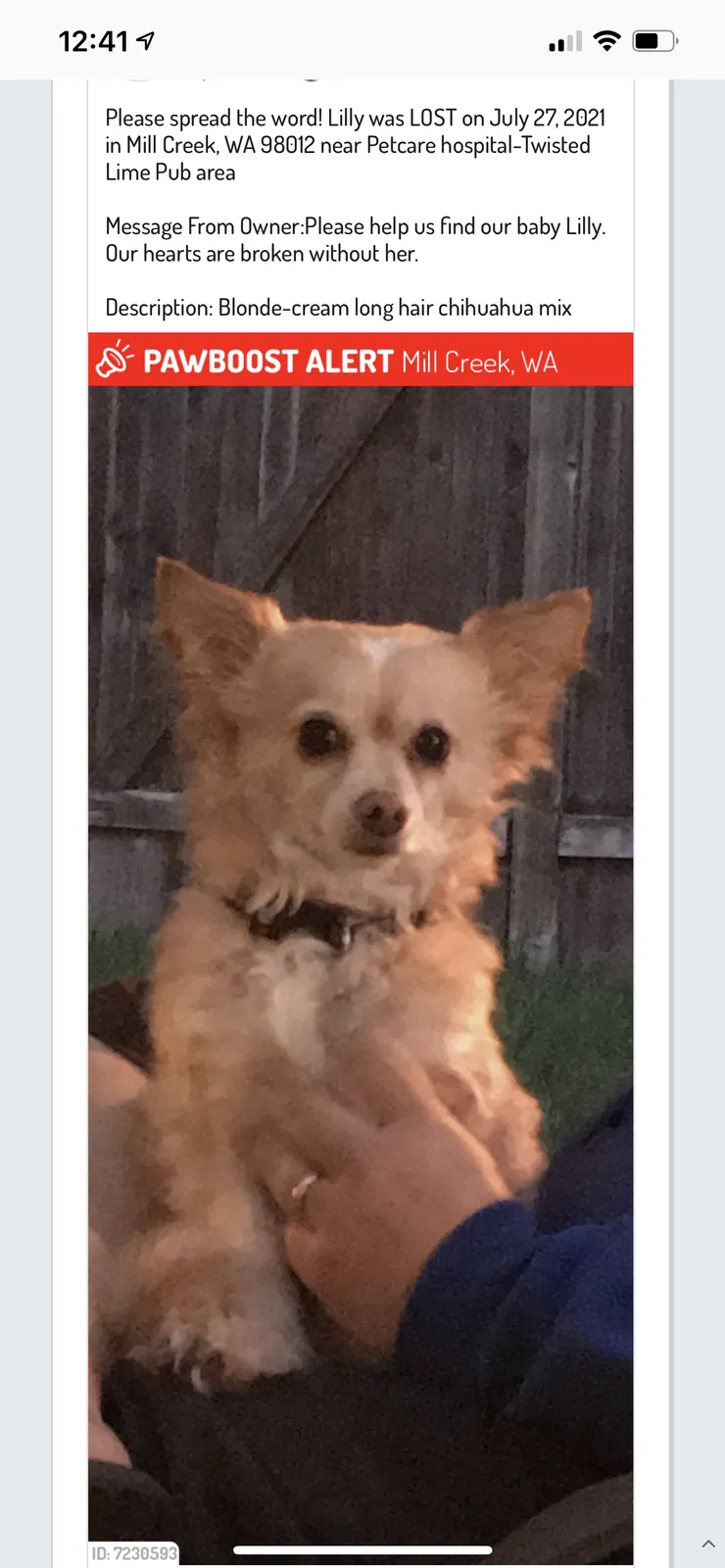 Lost dog in Bothell, WA, 98012