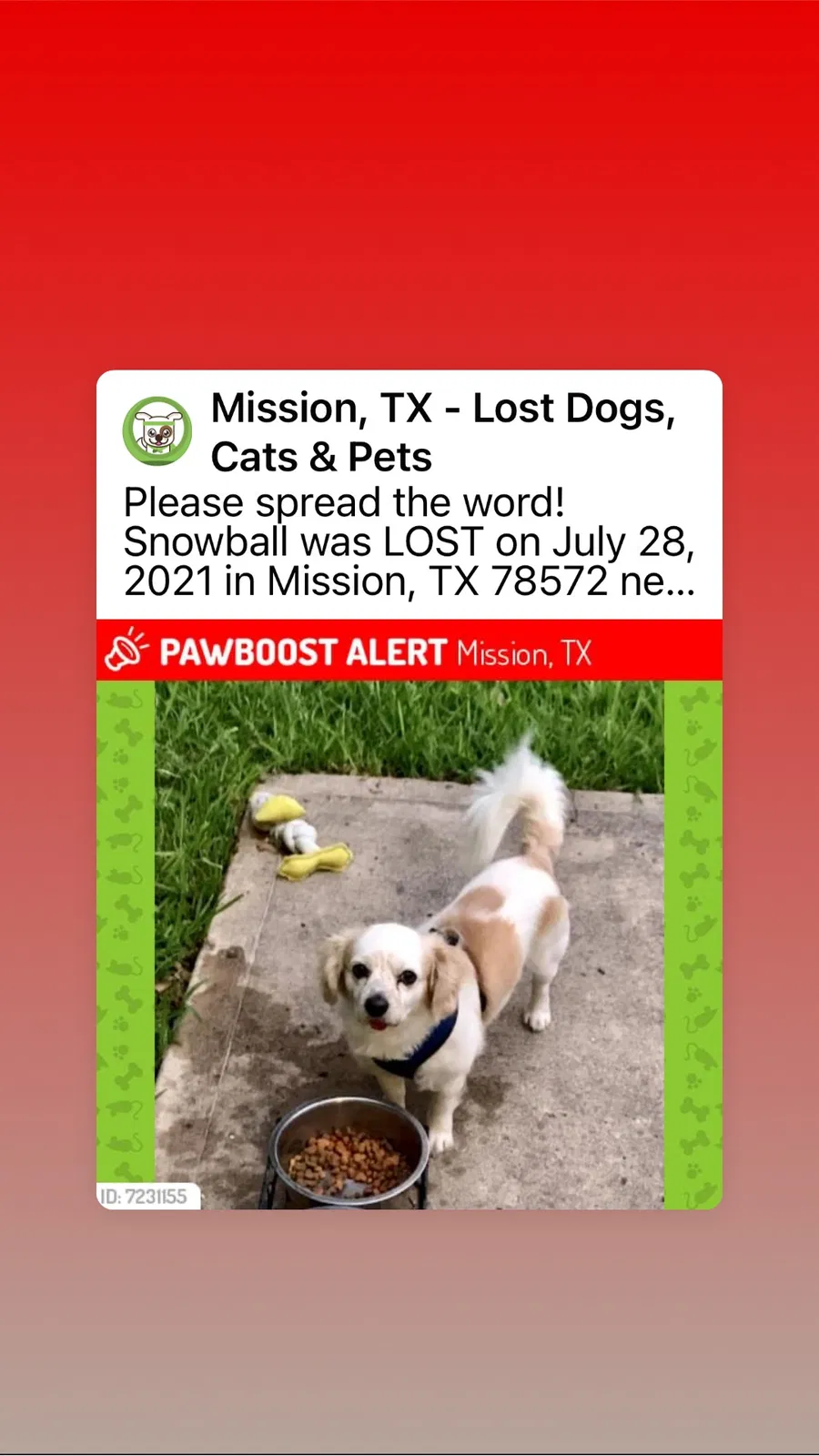 Lost dog in Mission, TX, 78572