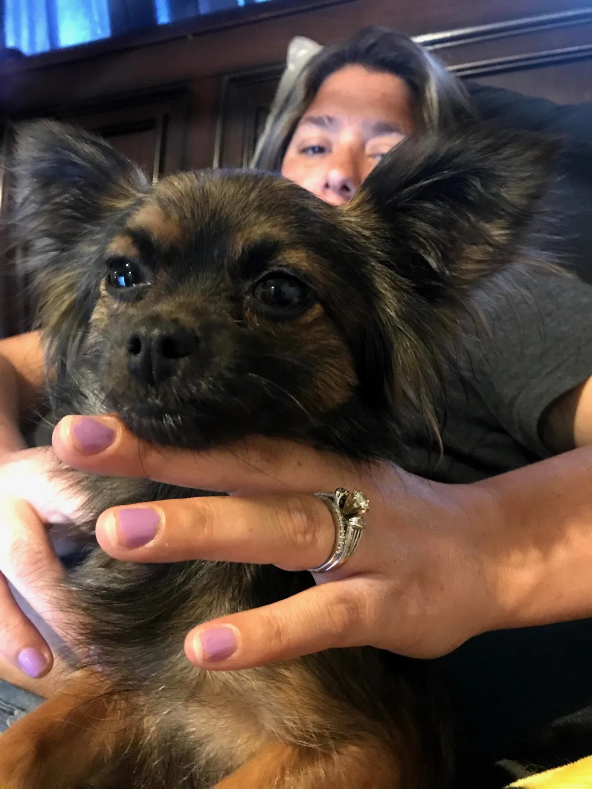 Lost dog in Tulsa, OK, 74146