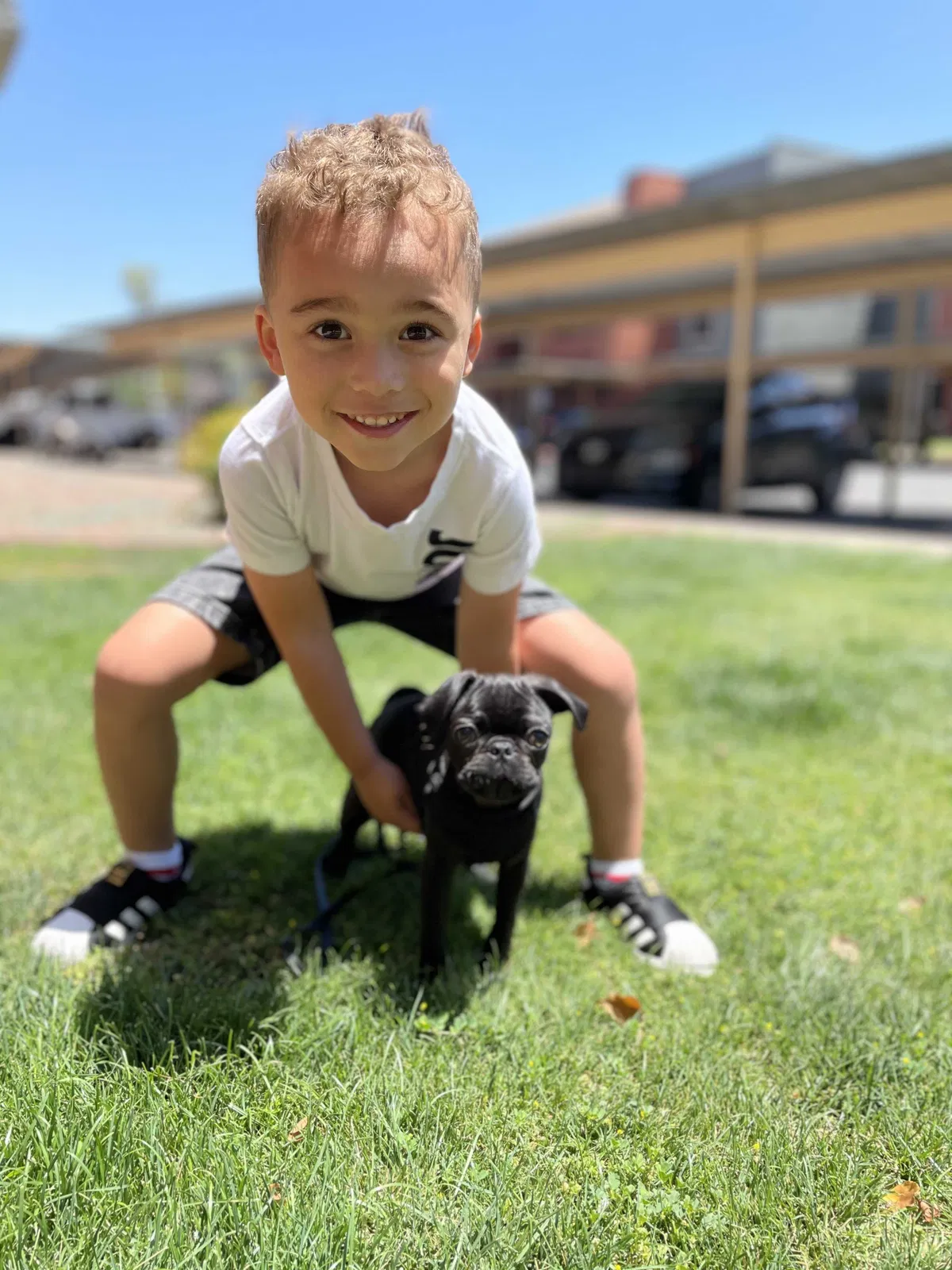 Lost dog in Phoenix, AZ, 85020