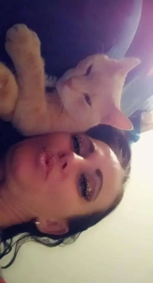Lost cat in Tampa, FL, 33605