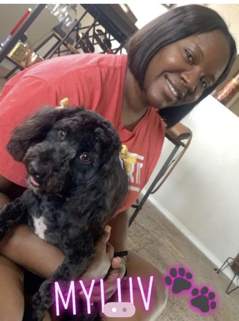 Lost dog in Perris, CA, 92571