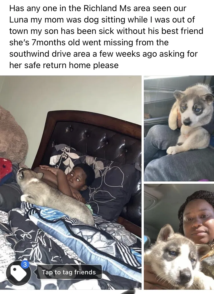 Lost dog in Richland, MS, 39218