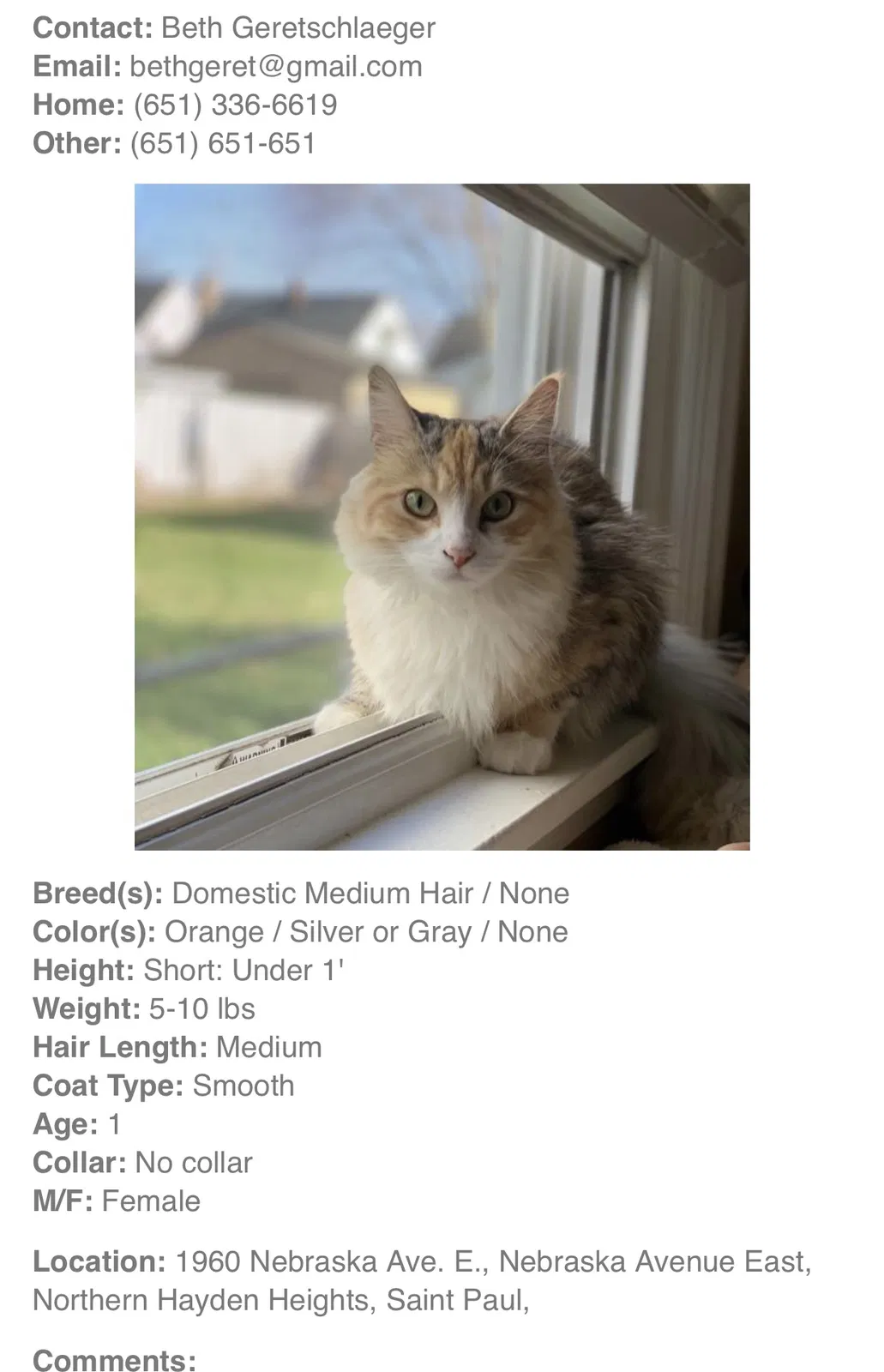 Lost cat in Saint Paul, MN, 55119