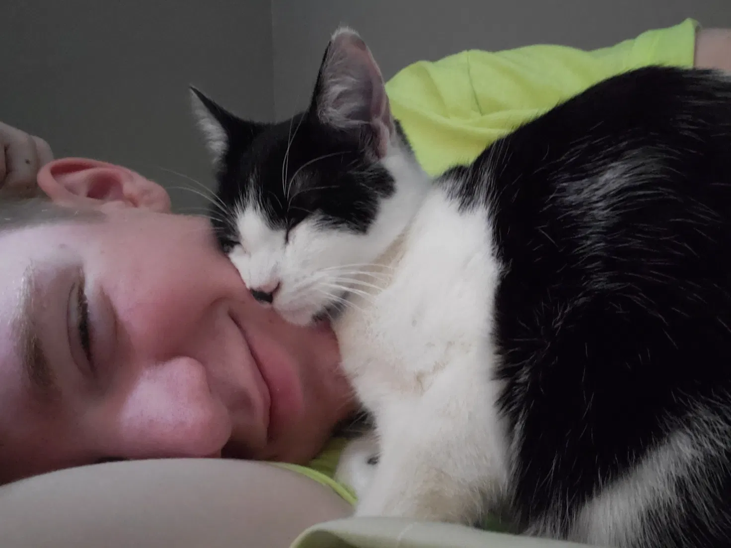 Lost cat in Rockaway Beach, OR, 97136