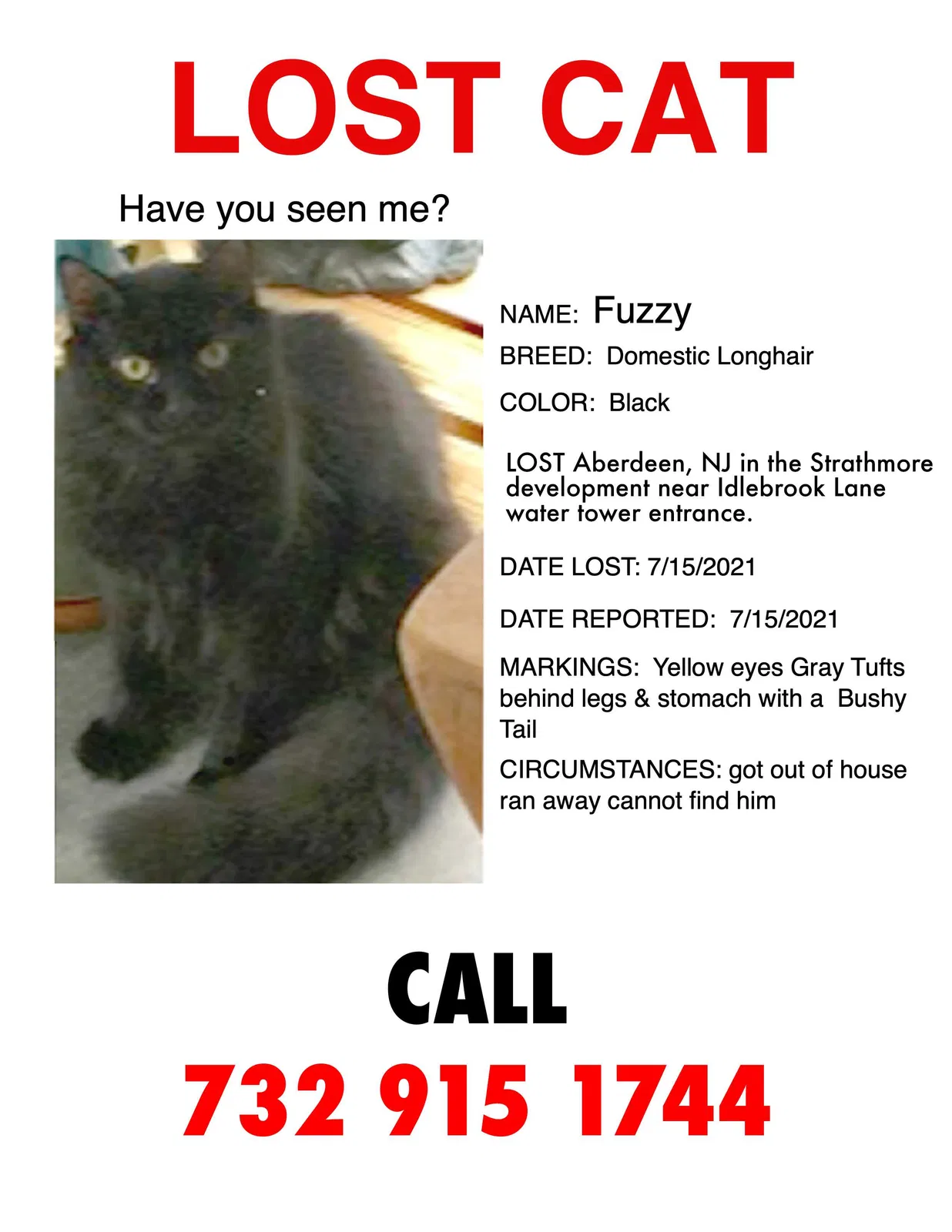 Lost cat in Matawan, NJ, 7747
