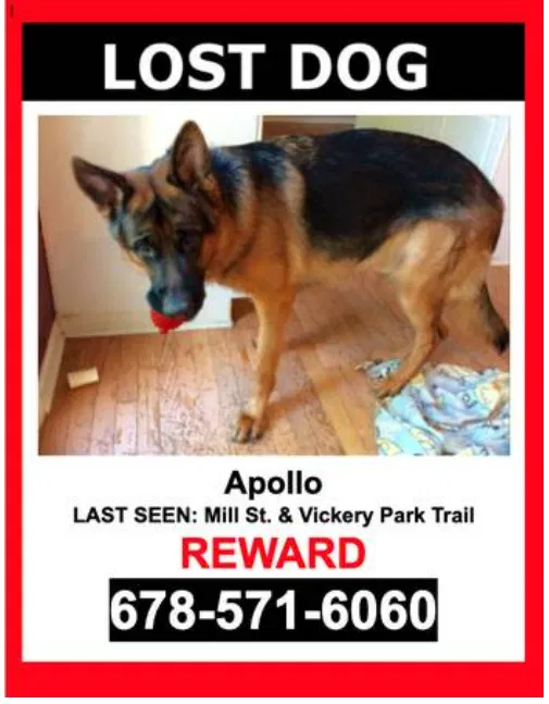 Lost dog in Roswell, GA, 30075