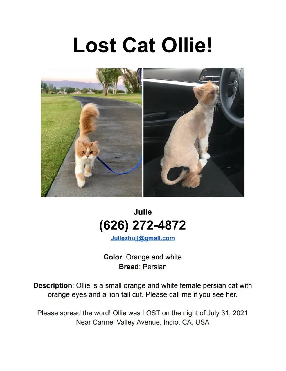 Lost cat in Indio, CA, 92201