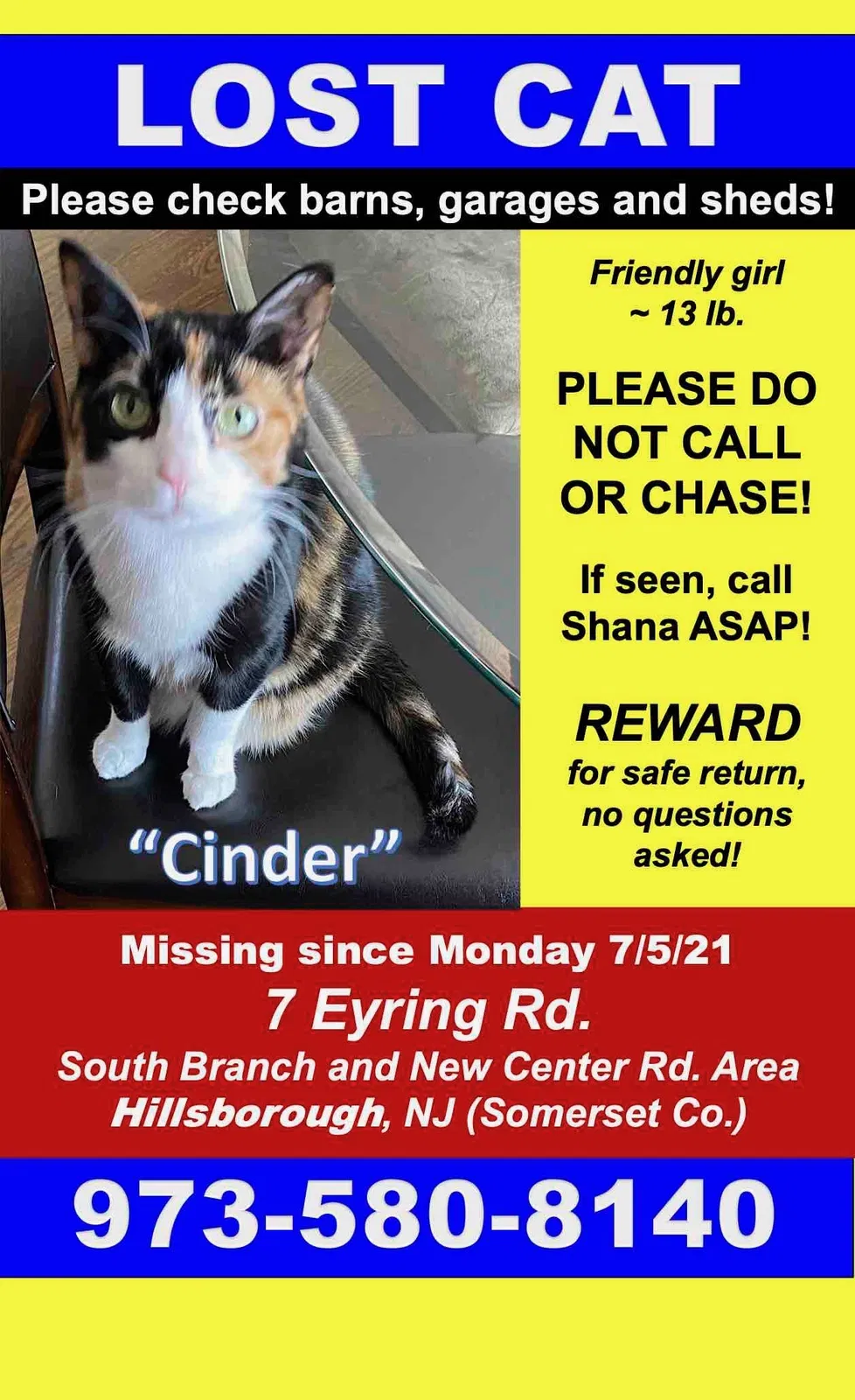 Lost cat in Hillsborough, NJ, 8844