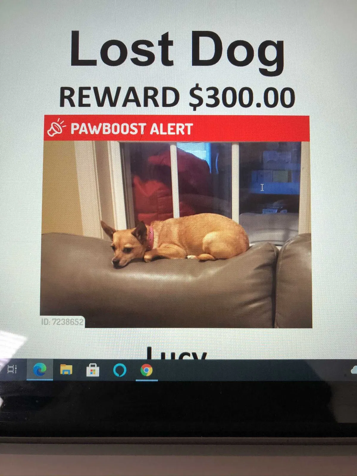 Lost dog in Jefferson, MD, 21755
