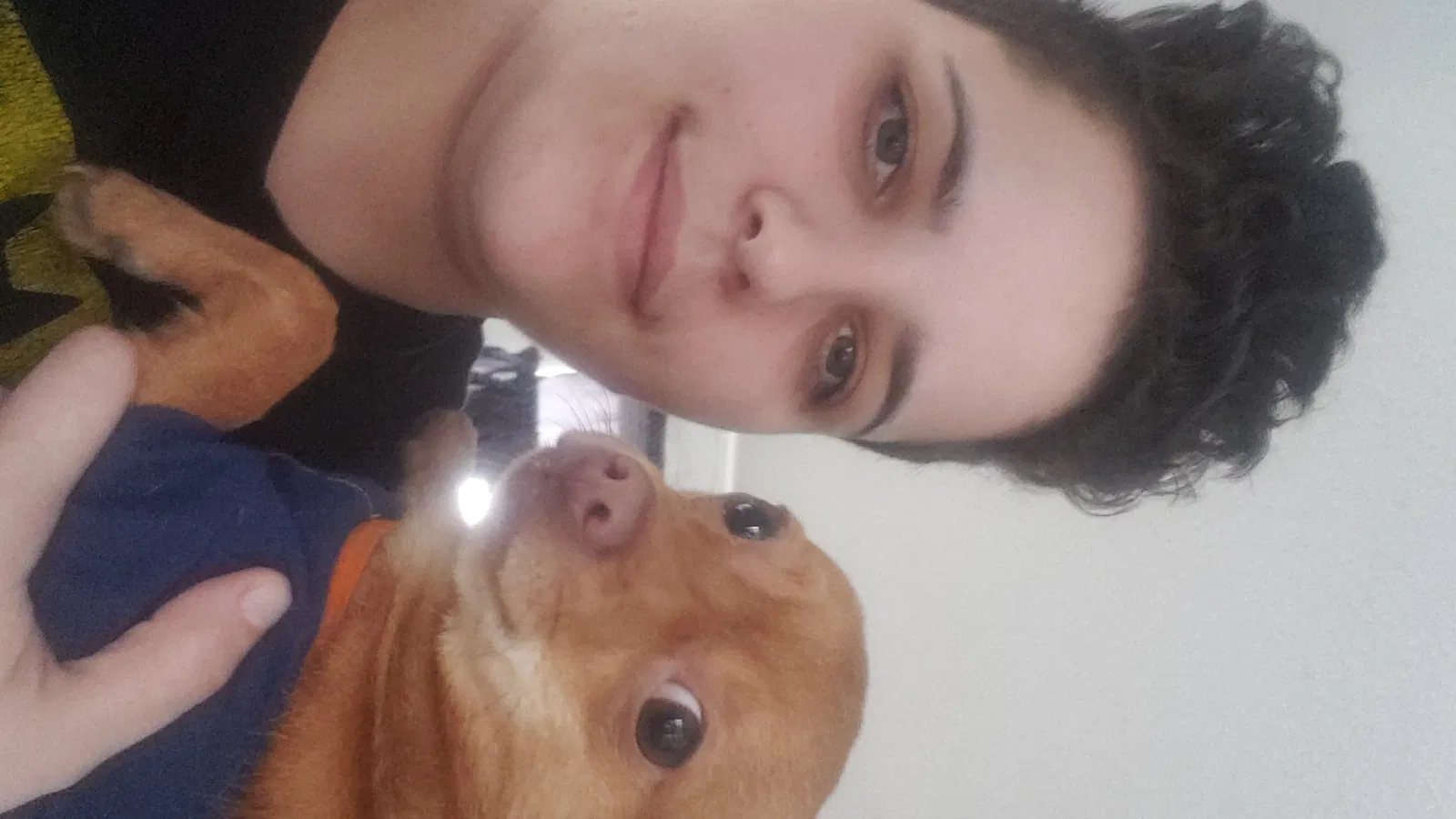 Lost dog in Des Moines, IA, 50314