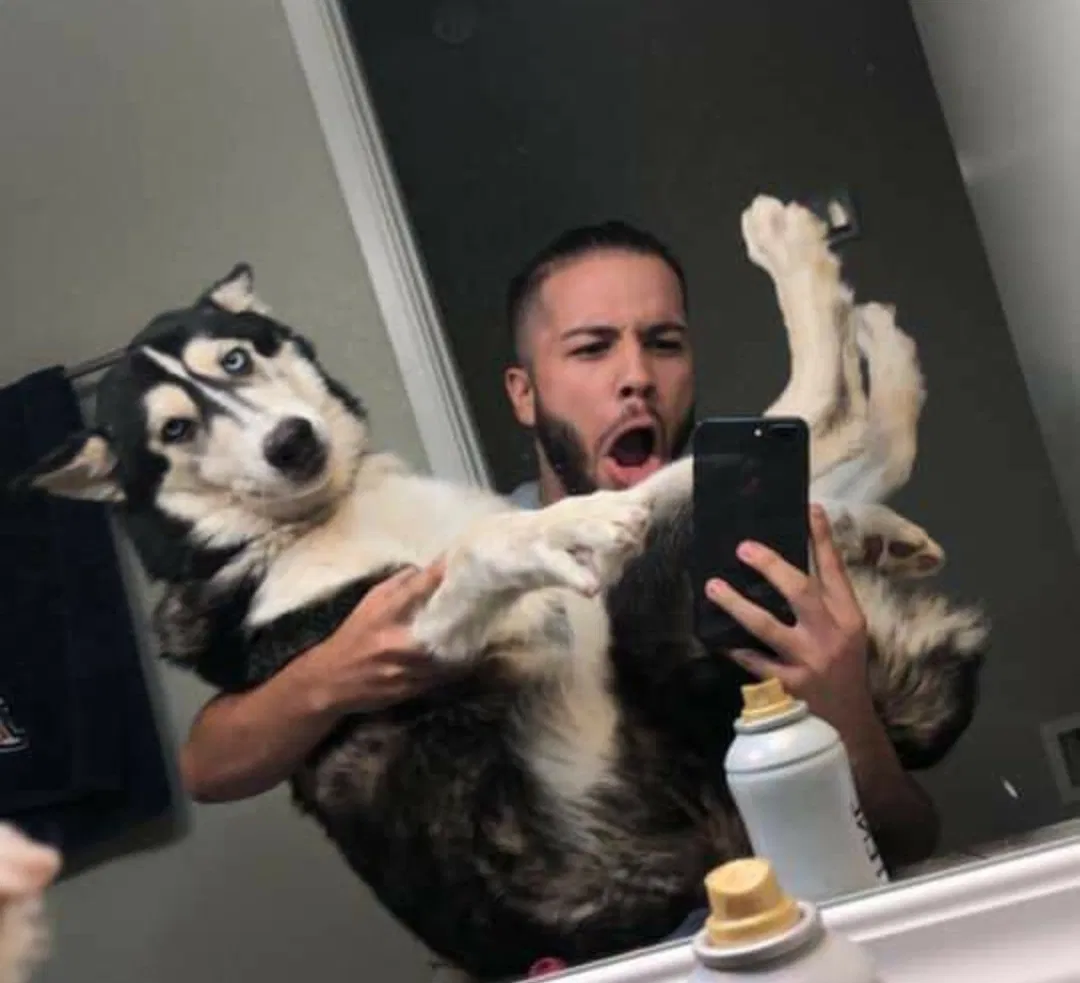 Lost dog in Tucson, AZ, 85746