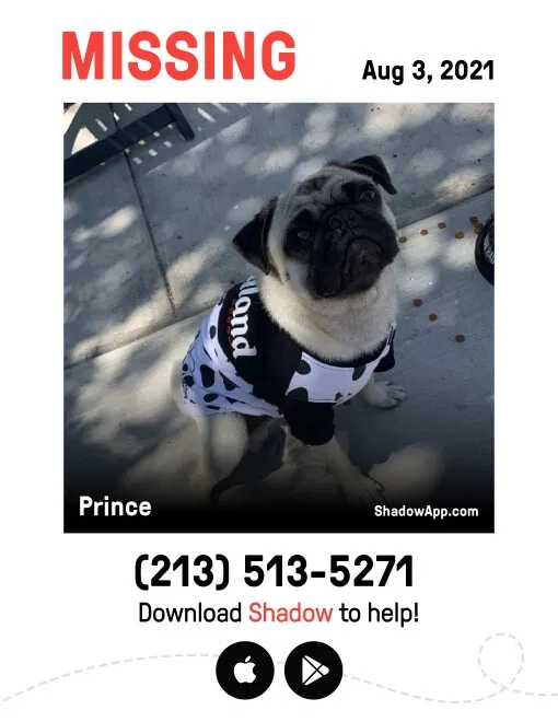 Lost dog in Hawthorne, CA, 90250