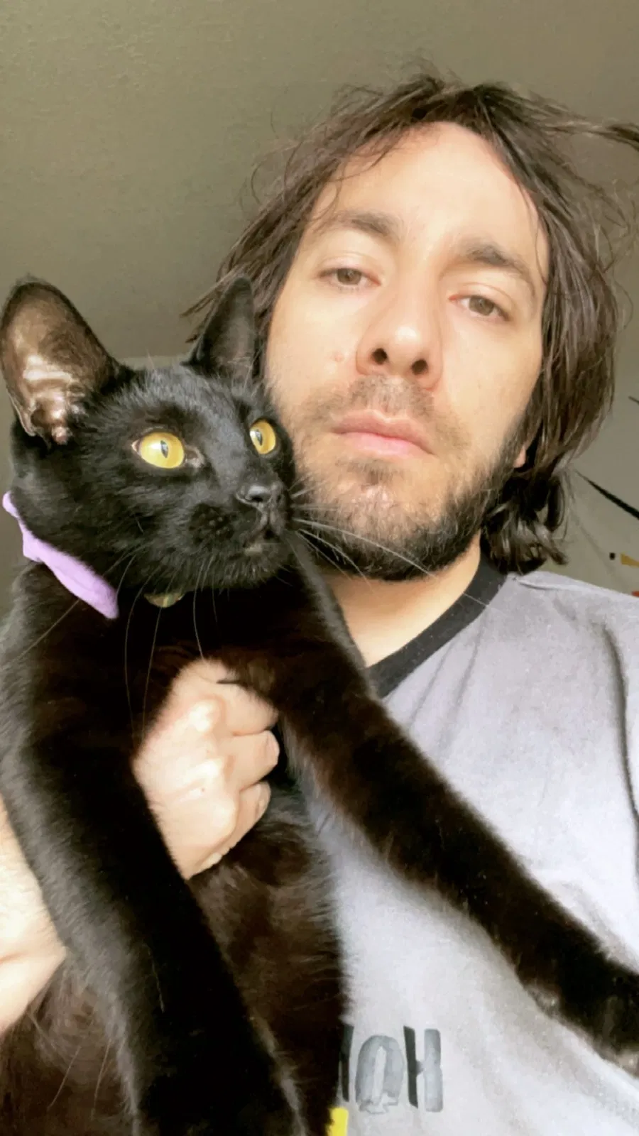 Lost cat in Salem, OR, 97305