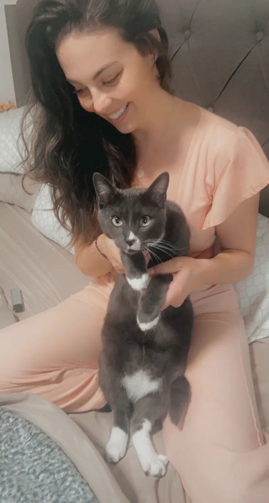 Lost cat in Pompano Beach, FL, 33064
