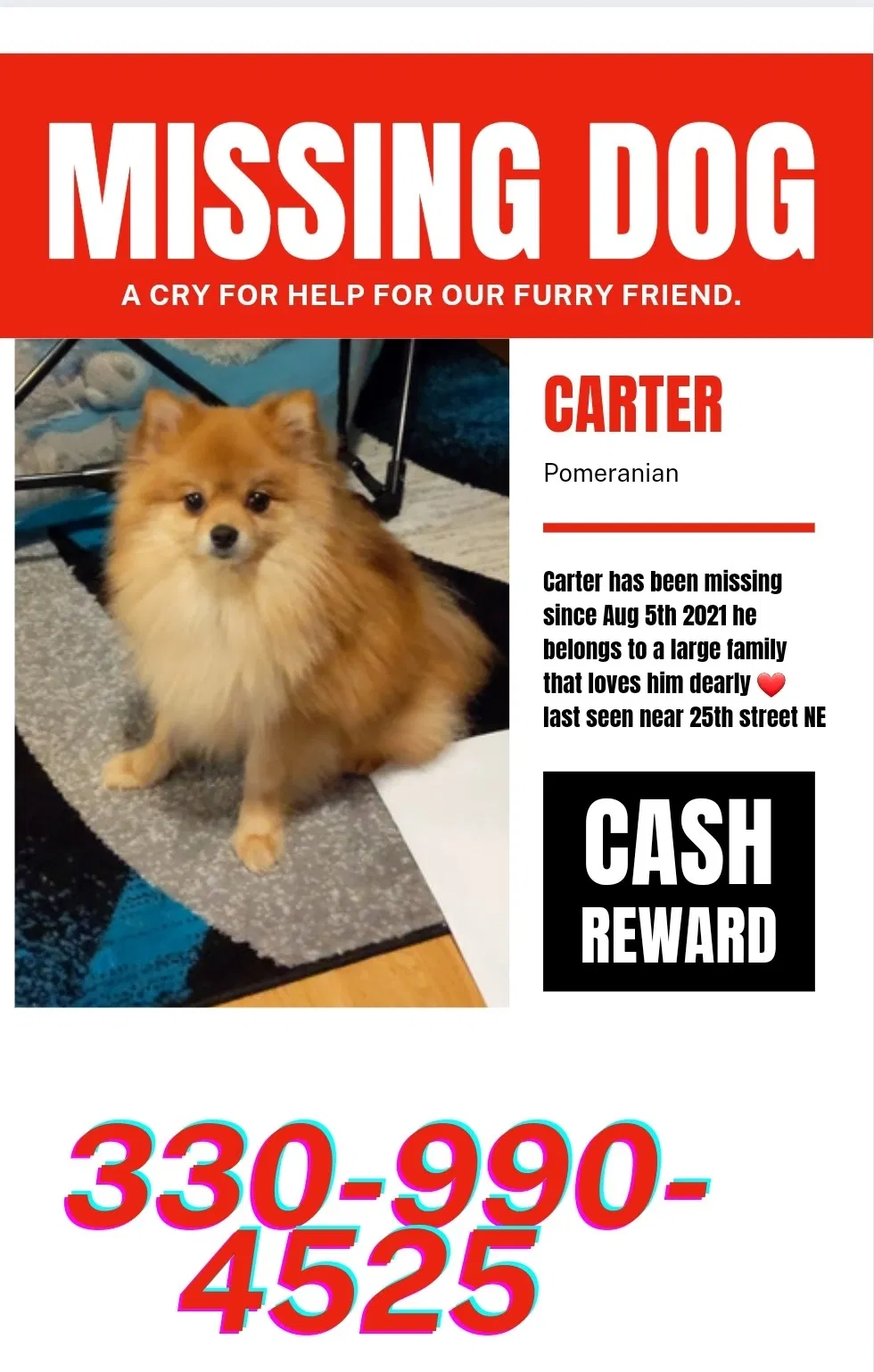 Lost dog in Canton, OH, 44714