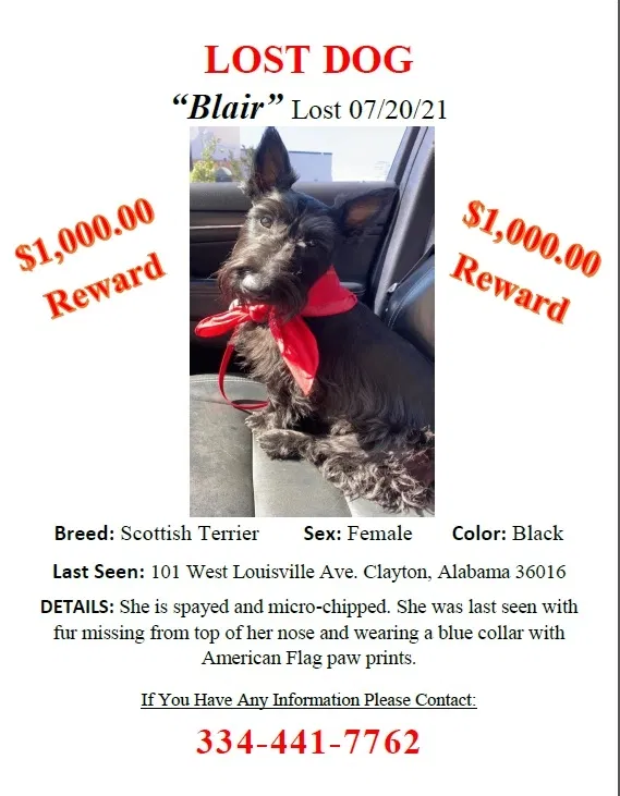 Lost dog in Clayton, AL, 36016