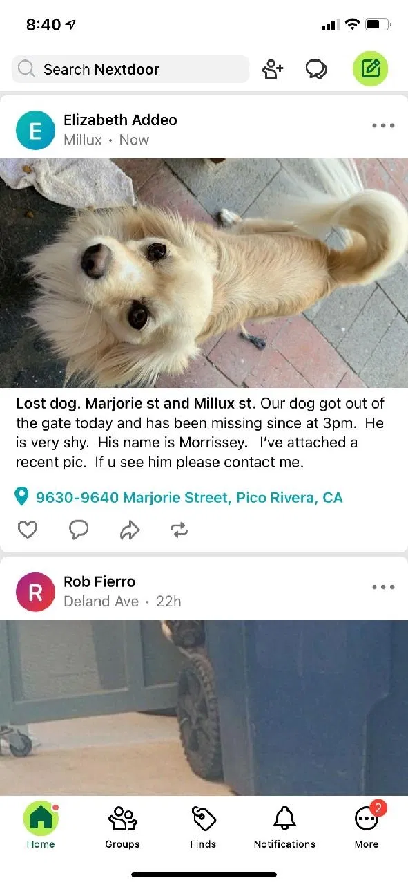 Lost dog in Pico Rivera, CA, 90660