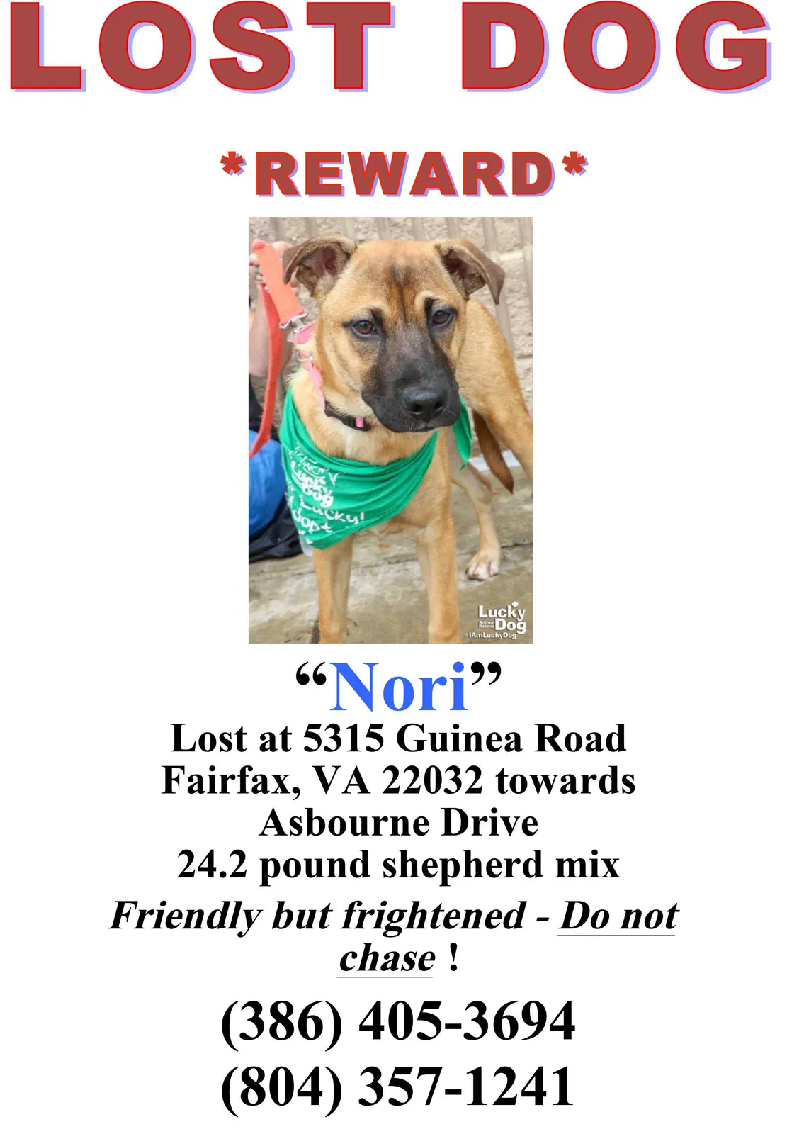 Lost dog in Fairfax, VA, 22032