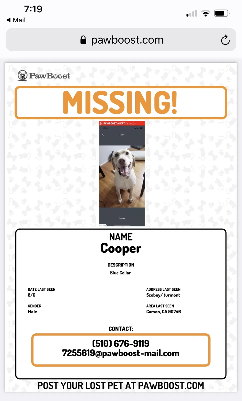 Lost dog in Carson, CA, 90746