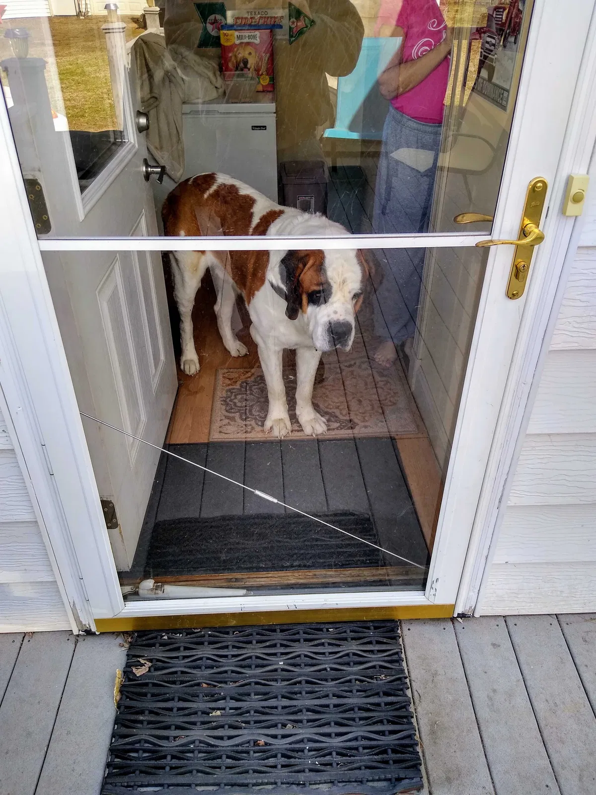 Lost dog in Burrton, KS, 67020