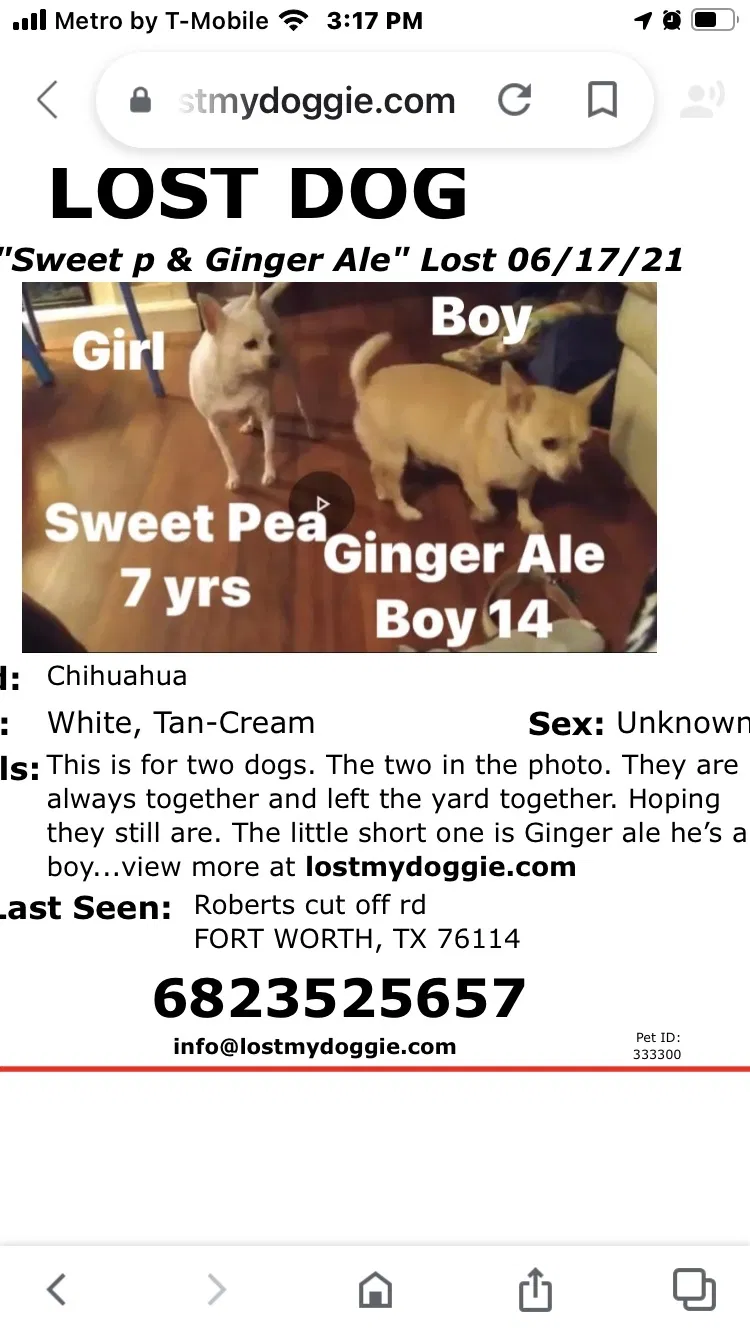 Lost dog in Fort Worth, TX, 76114