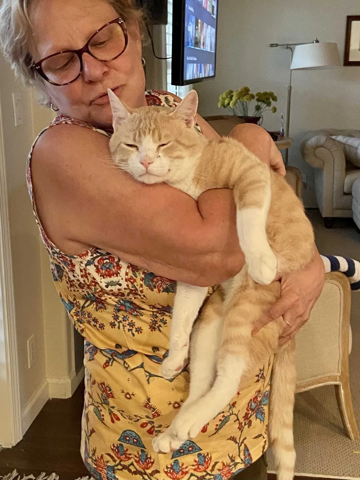 Lost cat in Albuquerque, NM, 87114