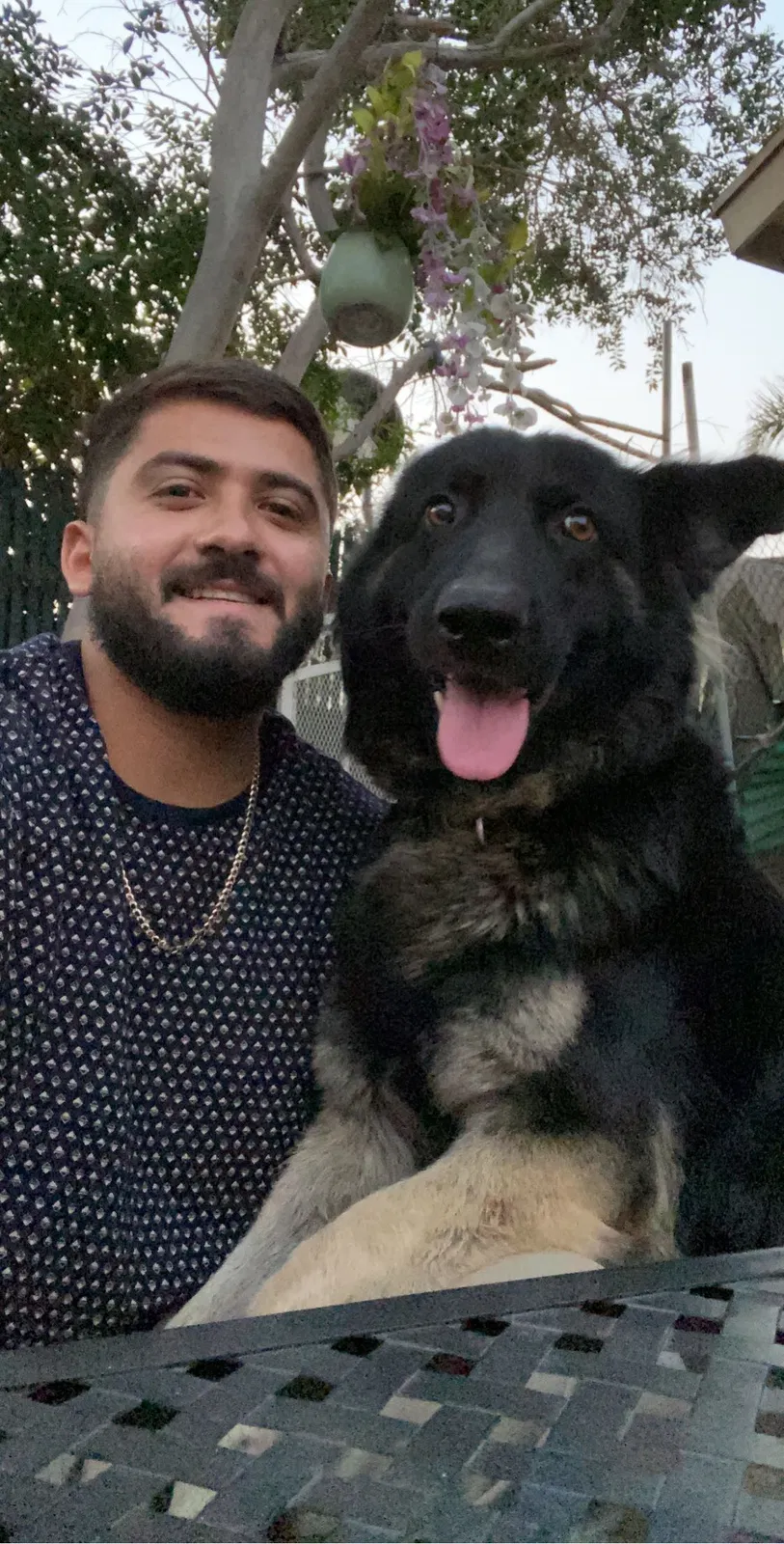Lost dog in Compton, CA, 90220