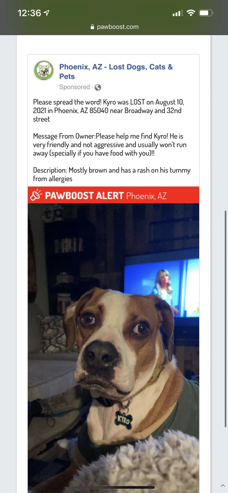Lost dog in Phoenix, AZ, 85023