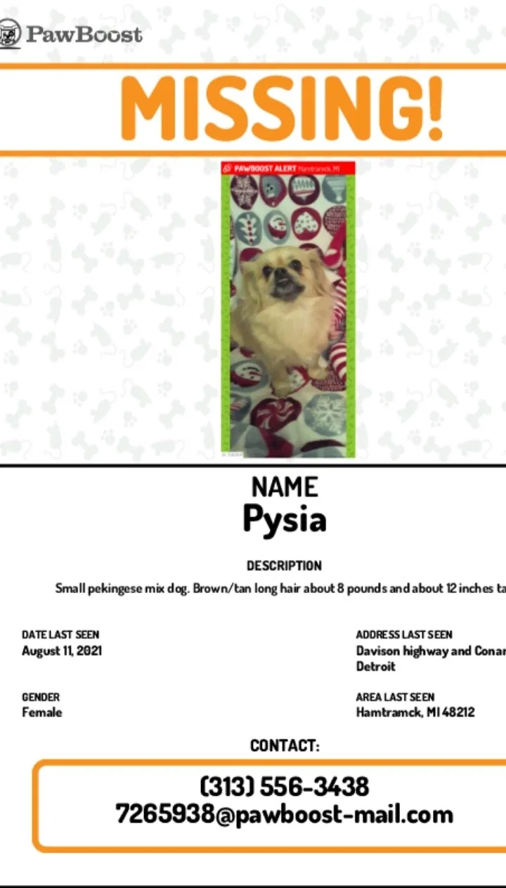 Lost dog in Hamtramck, MI, 48212