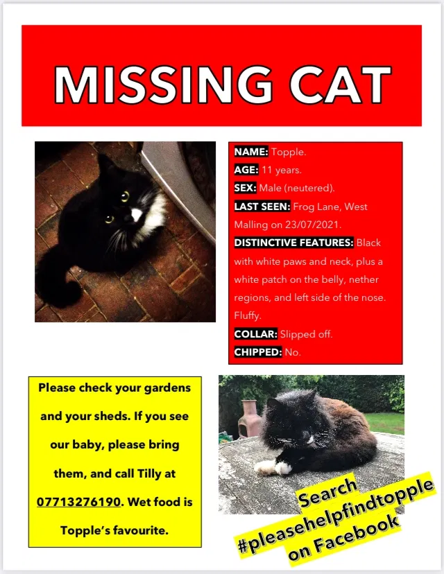Lost cat in Unknown, KS, 0