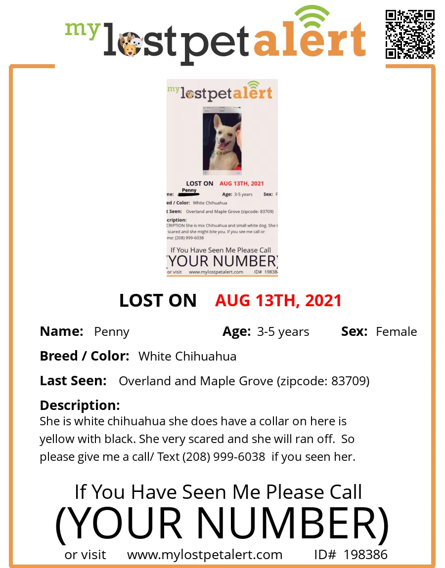 Lost dog in Boise, ID, 83713