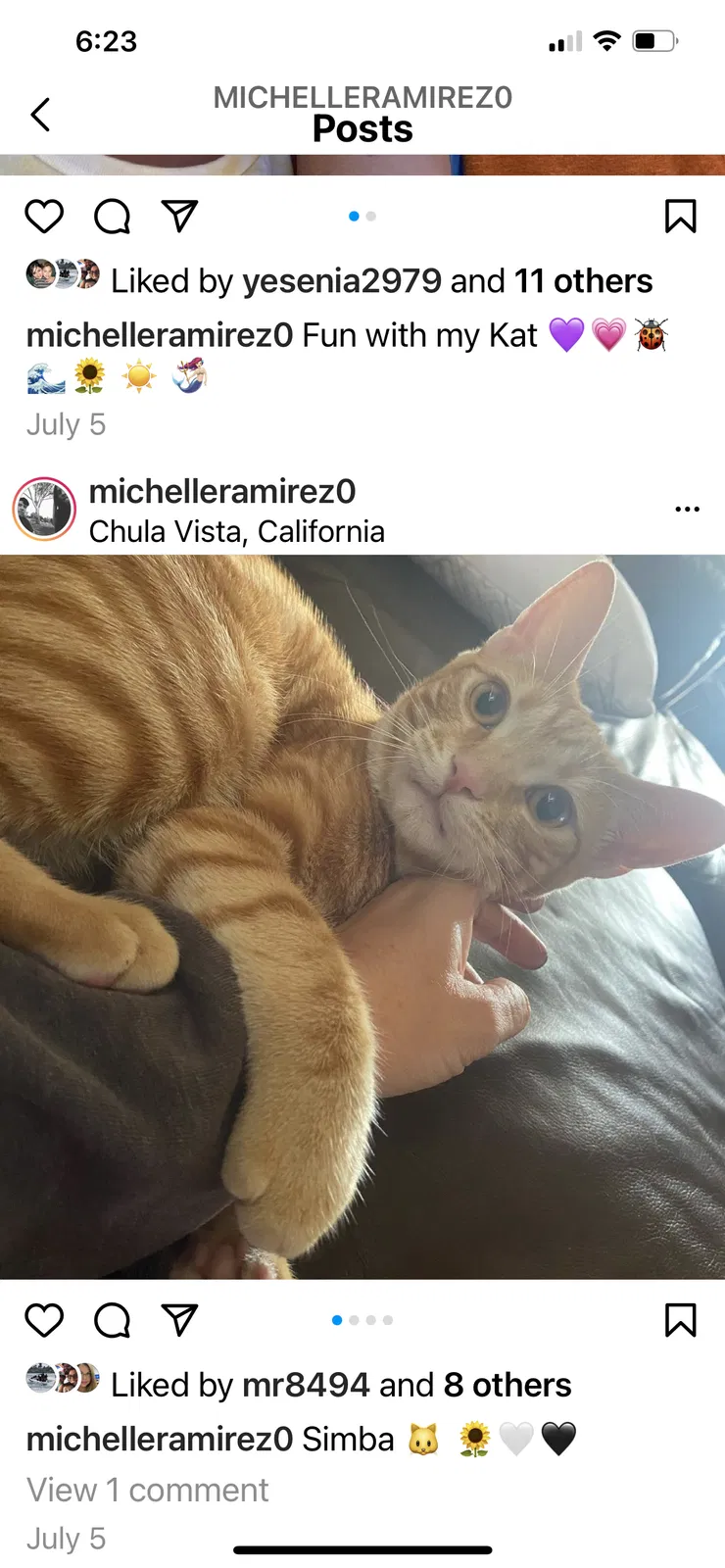 Lost cat in Chula Vista, CA, 91911