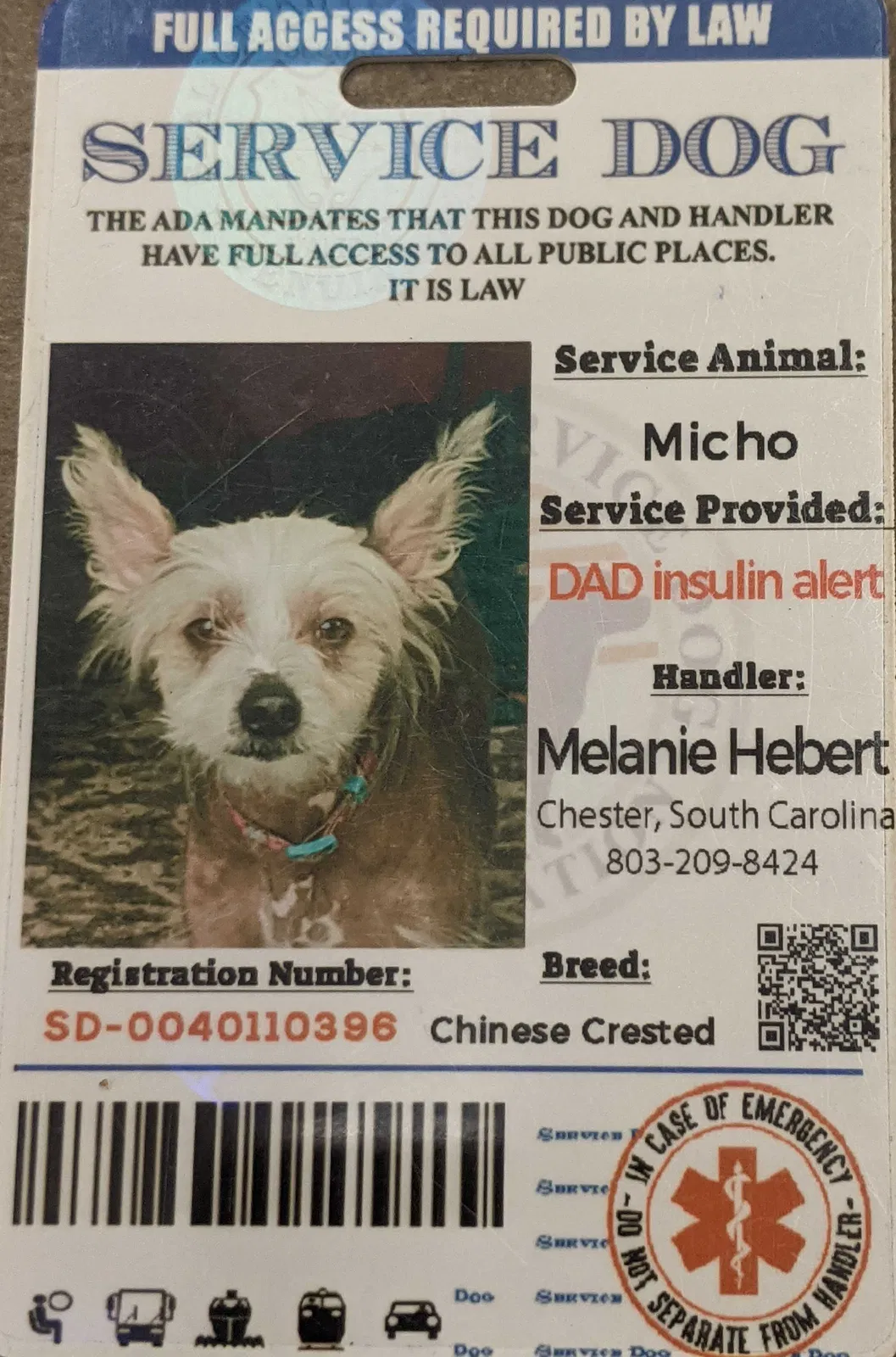 Lost dog in Chester, SC, 29706