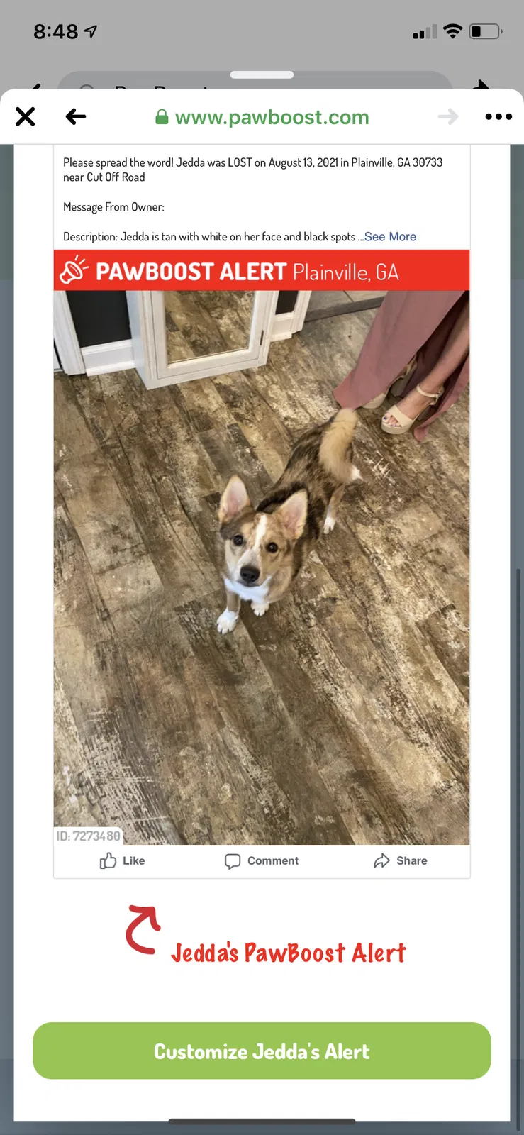 Lost dog in Plainville, GA, 30733