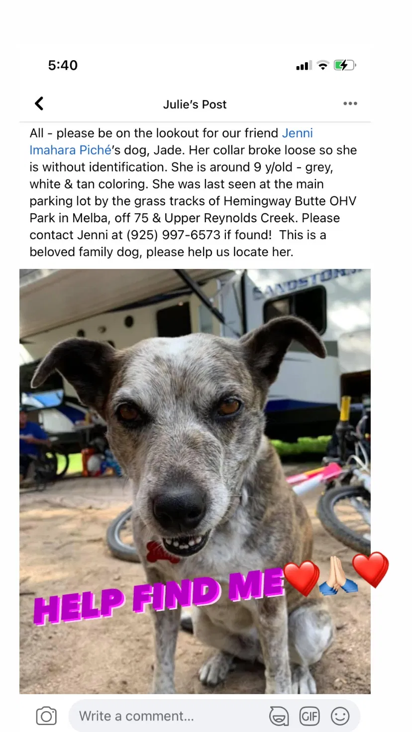 Lost dog in Melba, ID, 83641