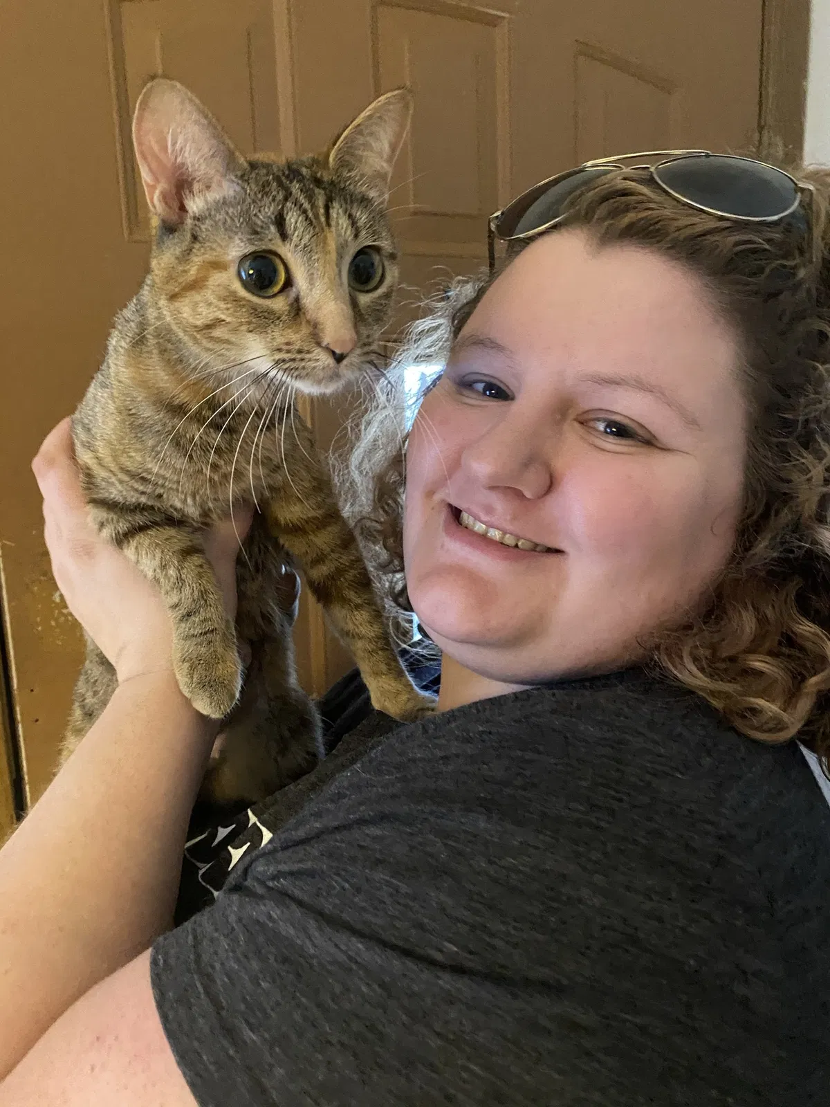 Lost cat in Milwaukee, WI, 53227