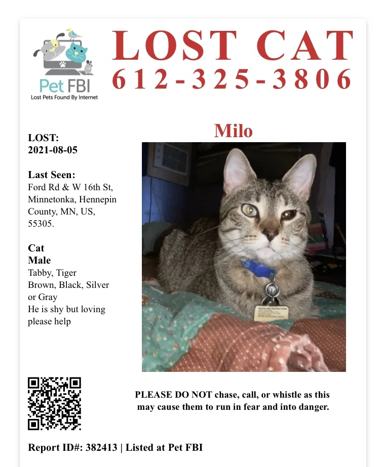 Lost cat in Hopkins, MN, 55305