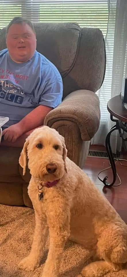 Lost dog in Saint Peters, MO, 63376