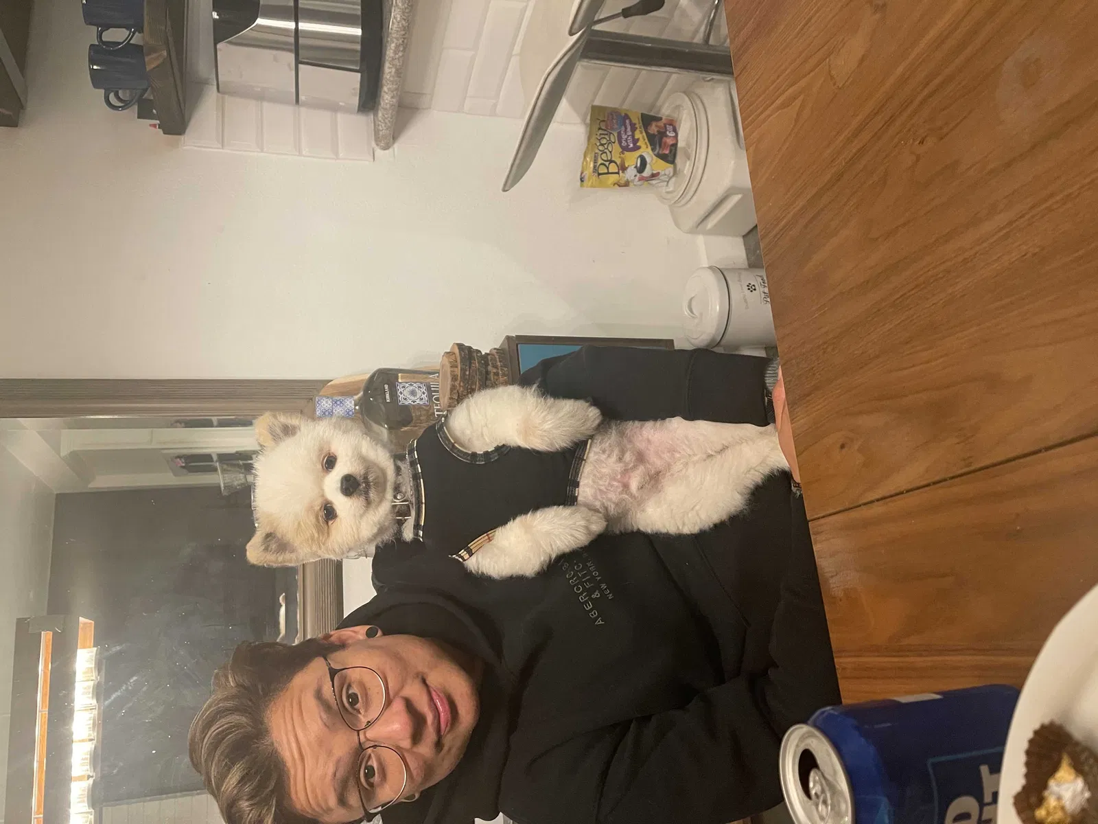 Lost dog in Huntington Park, CA, 90255