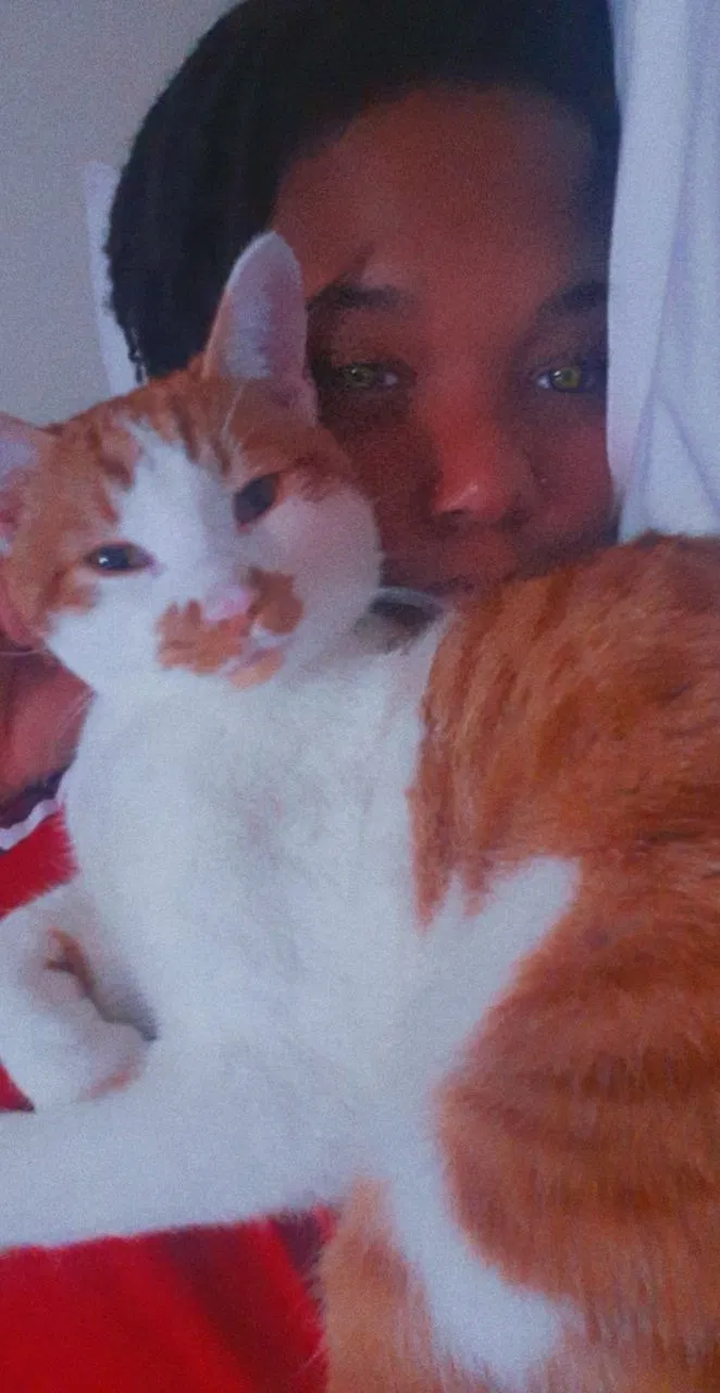 Lost cat in Escondido, CA, 92027