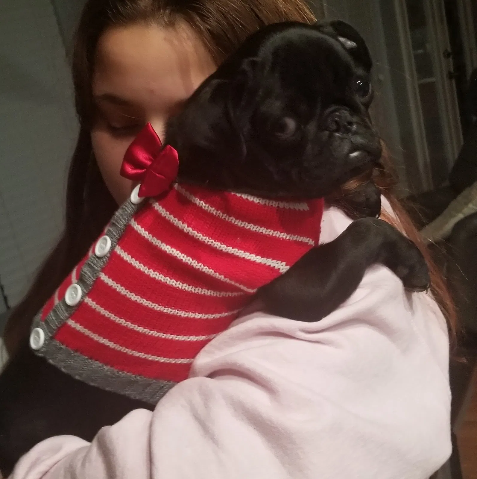 Lost dog in Fort Worth, TX, 76140
