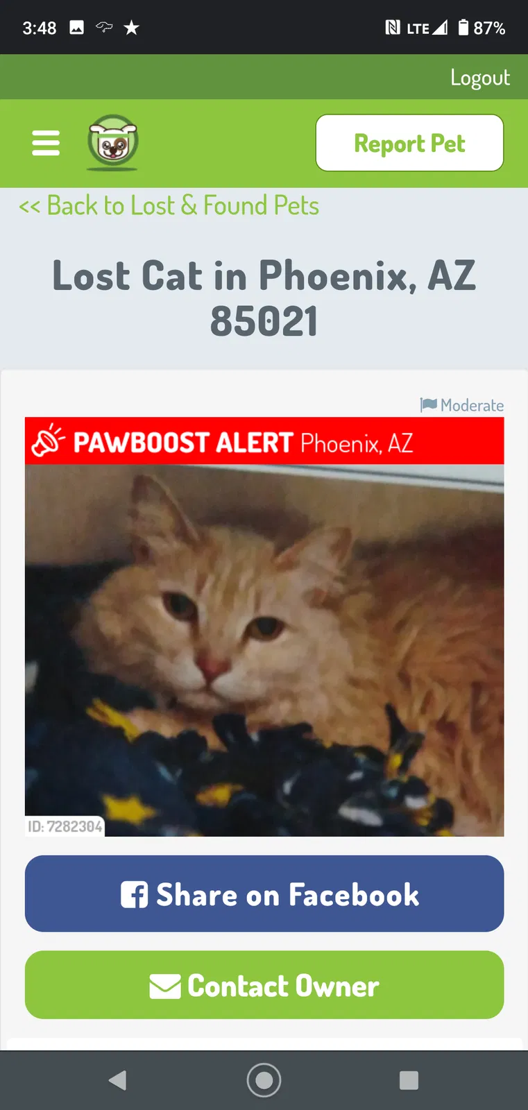 Lost cat in Phoenix, AZ, 85021