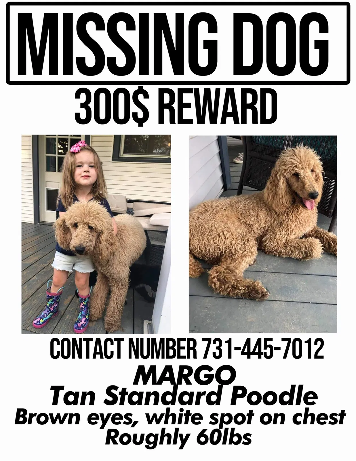Lost dog in Unknown, TN, 38350