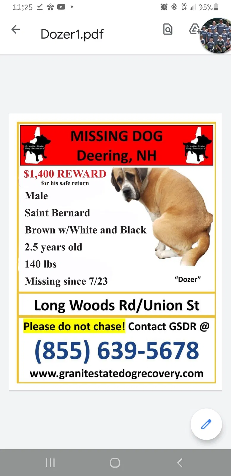 Lost dog in Hillsborough, NH, 3244