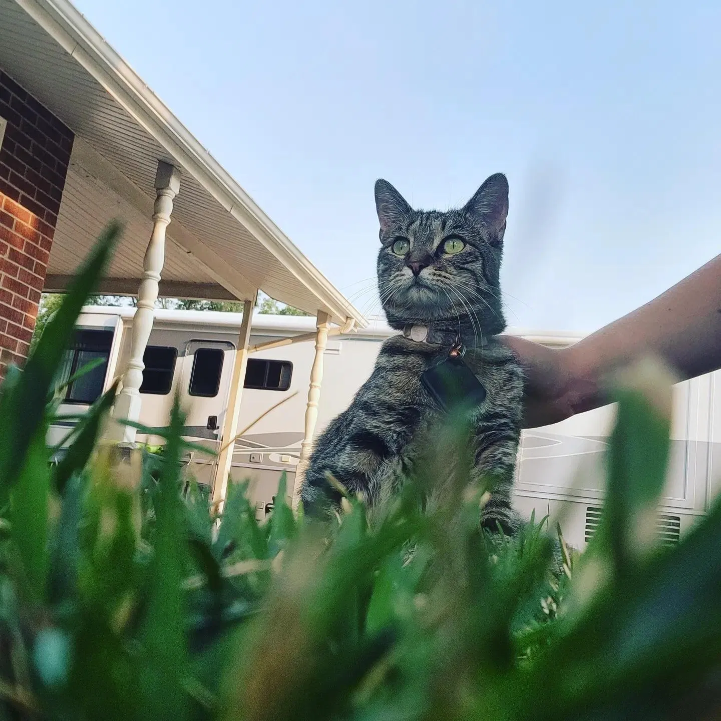 Lost cat in Sandy, UT, 84094
